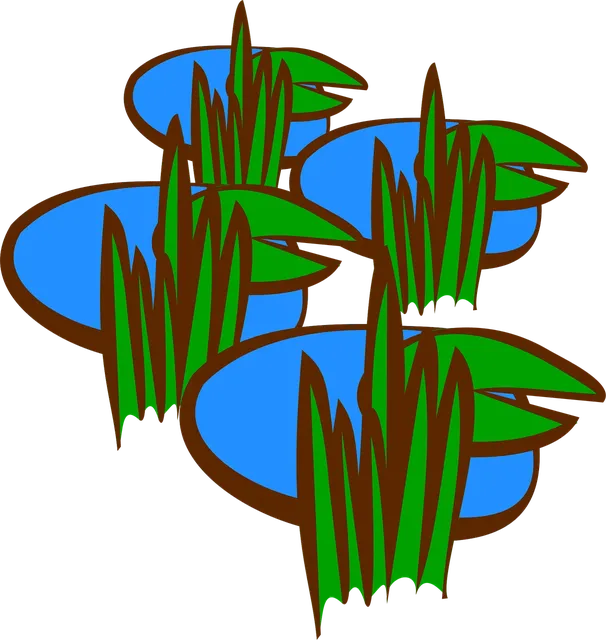 Impressum